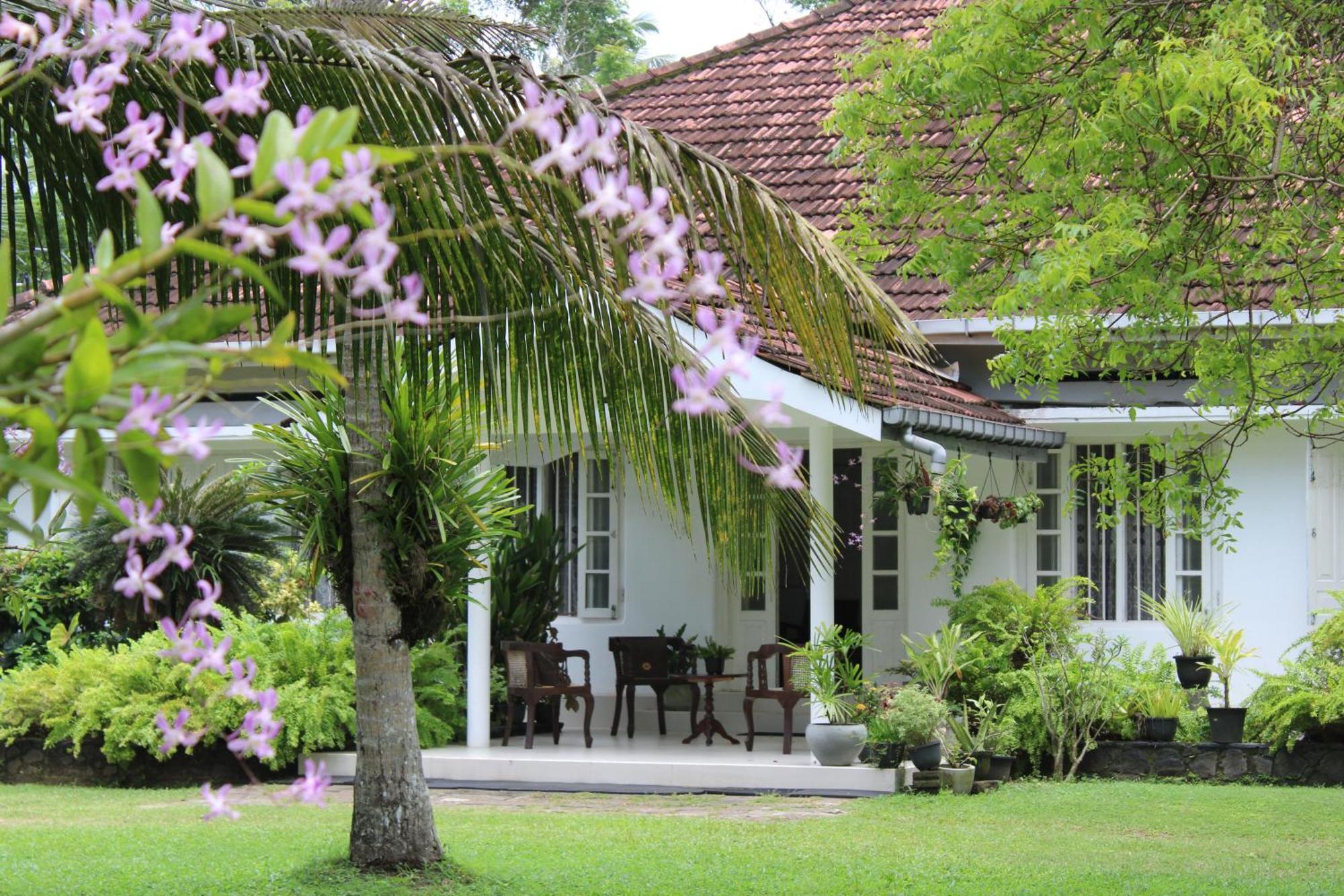 Hotel Sun And Surf Rest Ahangama Zewnętrze zdjęcie