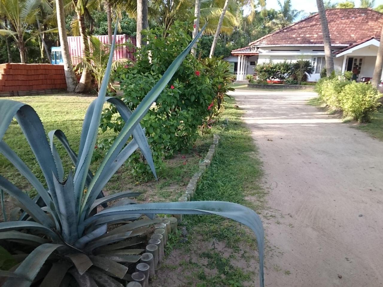 Hotel Sun And Surf Rest Ahangama Zewnętrze zdjęcie